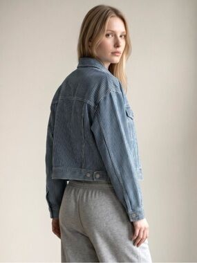 Gap Denim Stripe Jean Jacket